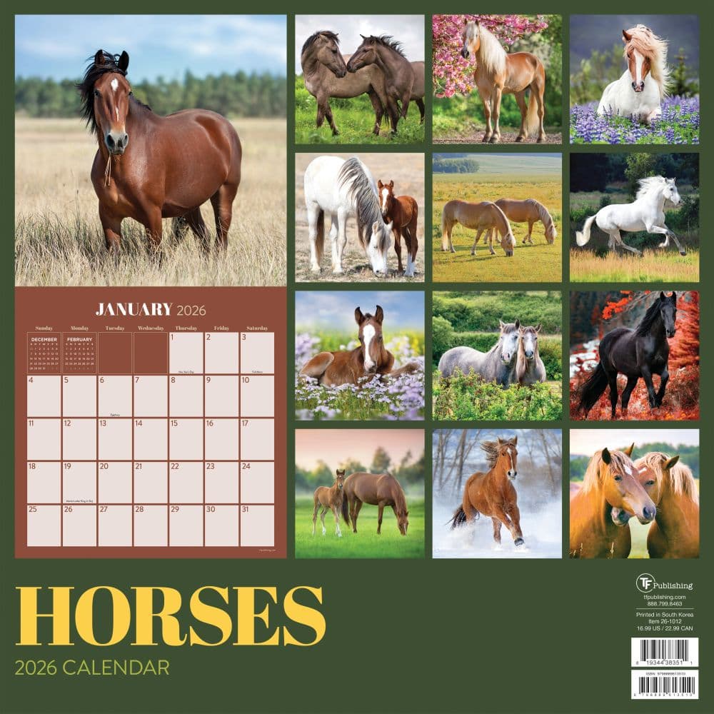 Horses 2026 Wall Calendar First Alternate Image