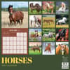 image Horses 2026 Wall Calendar First Alternate Image