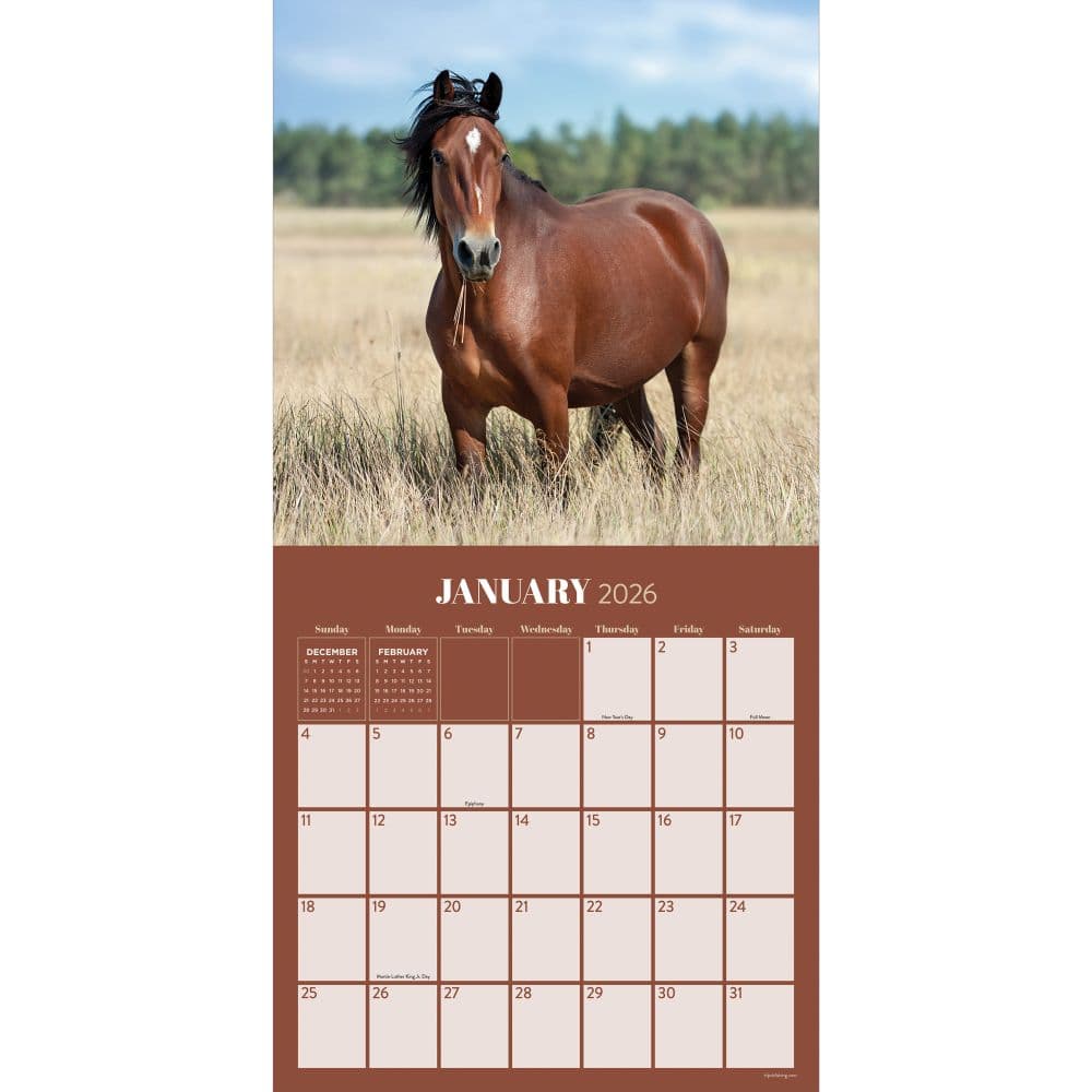 Horses 2026 Wall Calendar Second Alternate Image