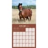 image Horses 2026 Wall Calendar Second Alternate Image