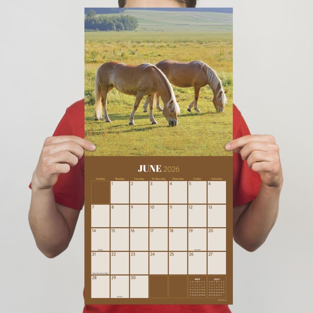 Horses 2026 Wall Calendar Fourth Alternate Image