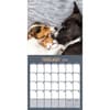 image Furry Friends 2026 Wall Calendar Second Alternate Image