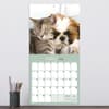 image Furry Friends 2026 Wall Calendar Third Alternate Image