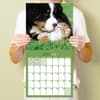 image Furry Friends 2026 Wall Calendar Fourth Alternate Image
