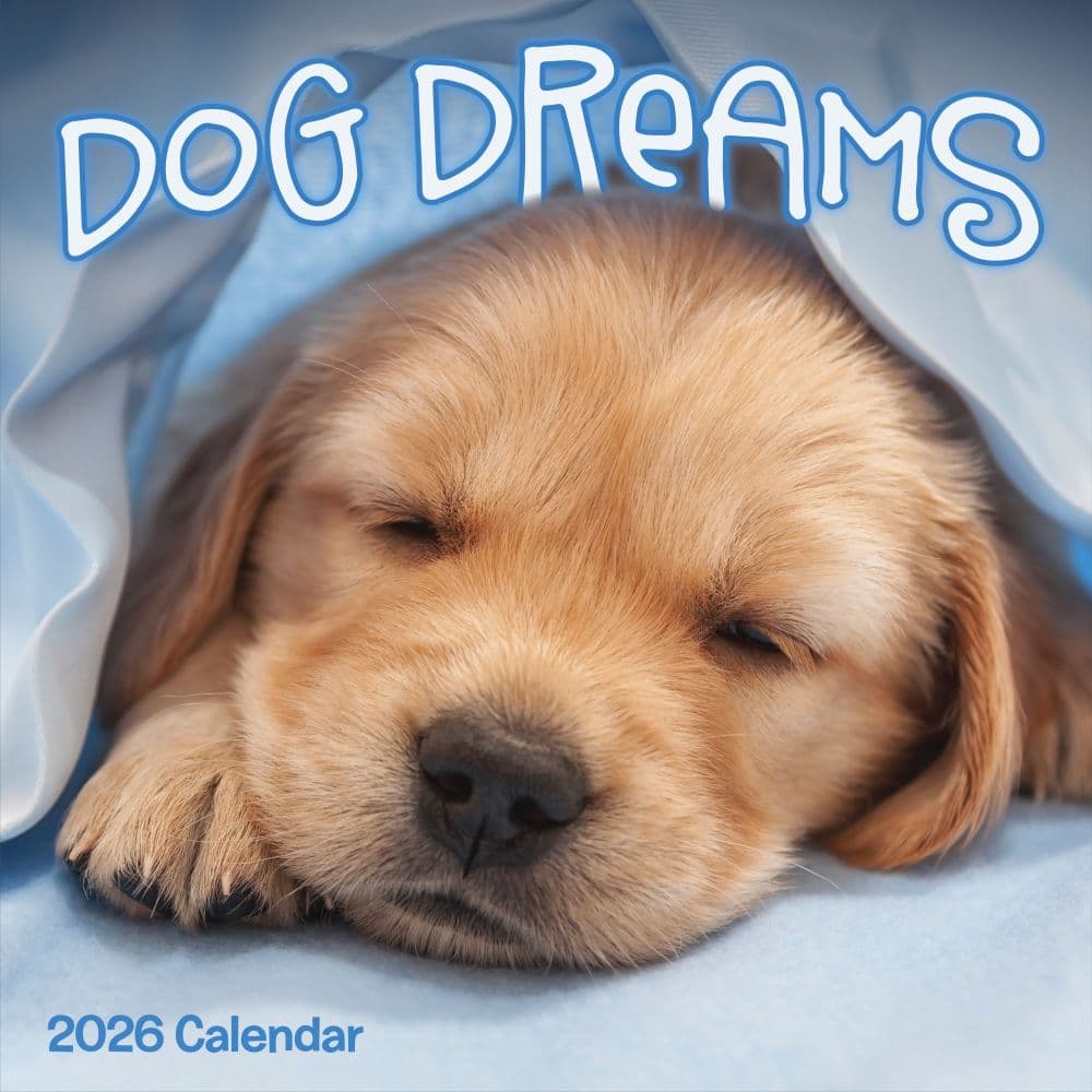 Dog Dreams 2026 Wall Calendar Main Product Image