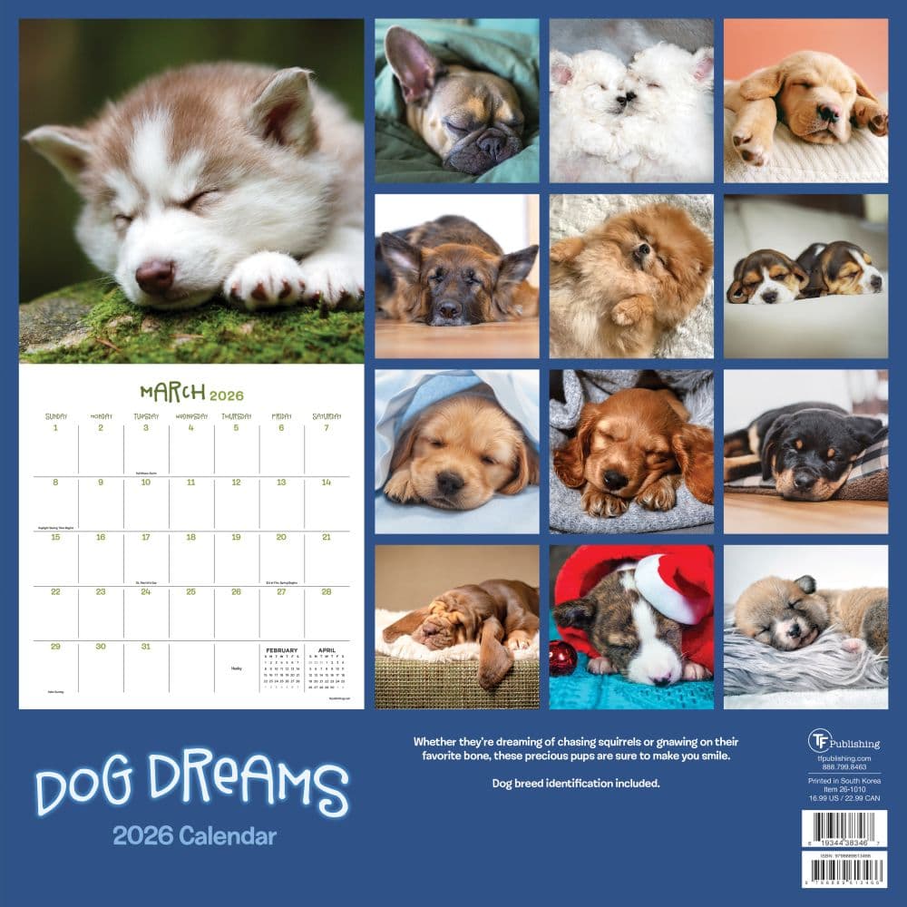 Dog Dreams 2026 Wall Calendar First Alternate Image