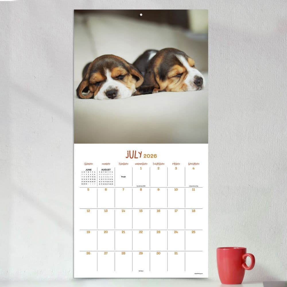 Dog Dreams 2026 Wall Calendar Third Alternate Image