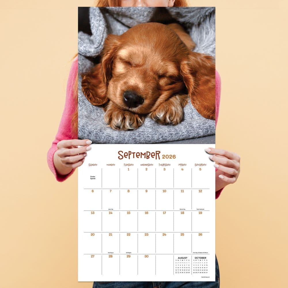 Dog Dreams 2026 Wall Calendar Fourth Alternate Image