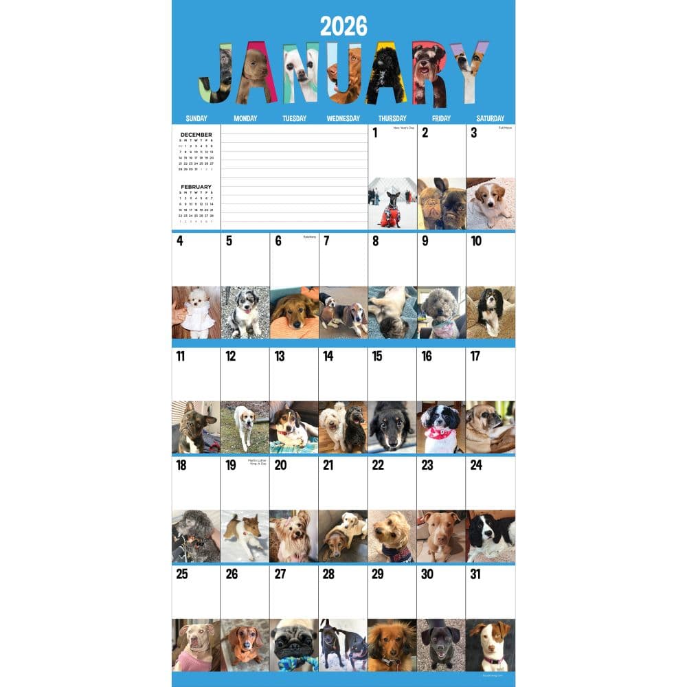 Dog A Day 2026 Wall Calendar Second Alternate Image