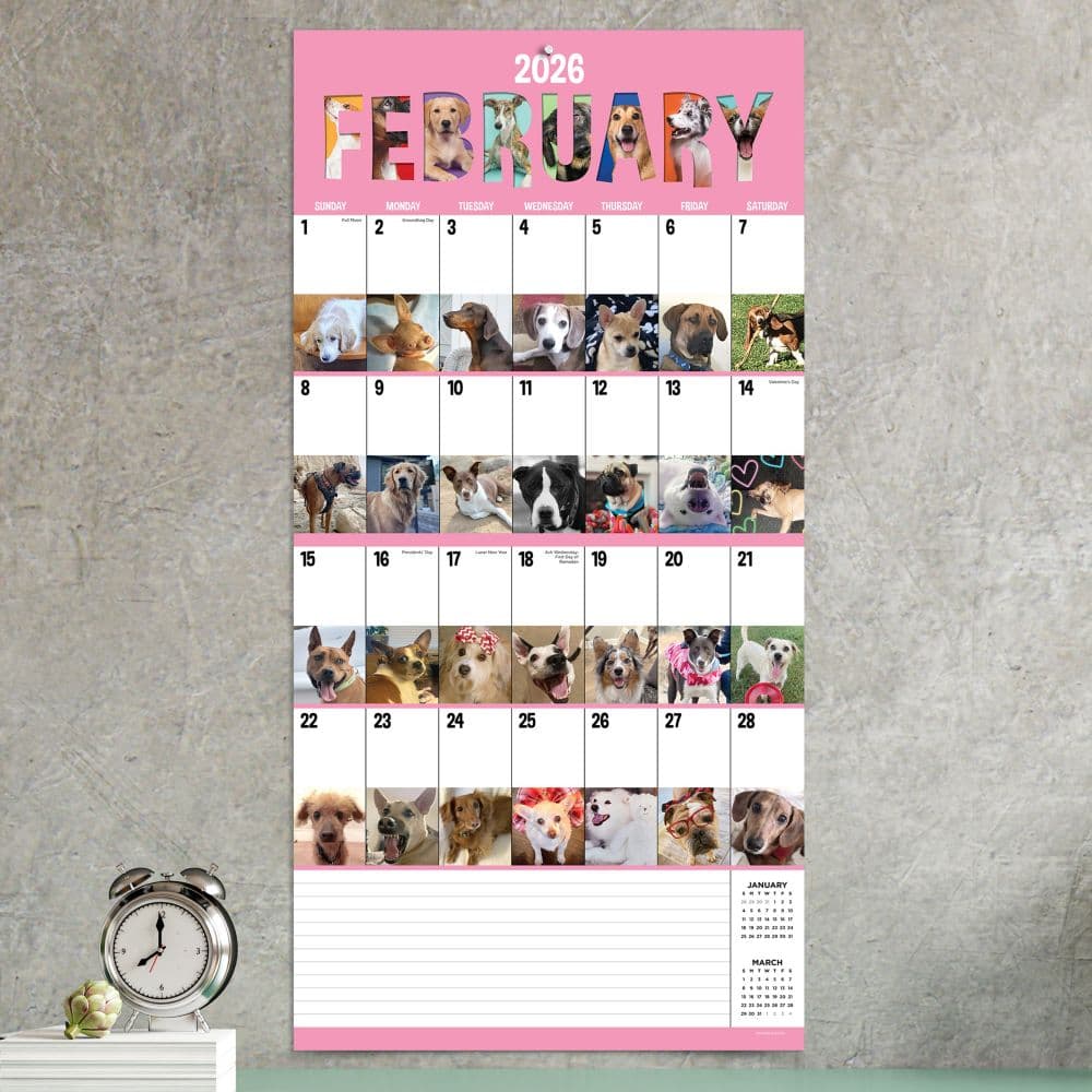 Dog A Day 2026 Wall Calendar Third Alternate Image