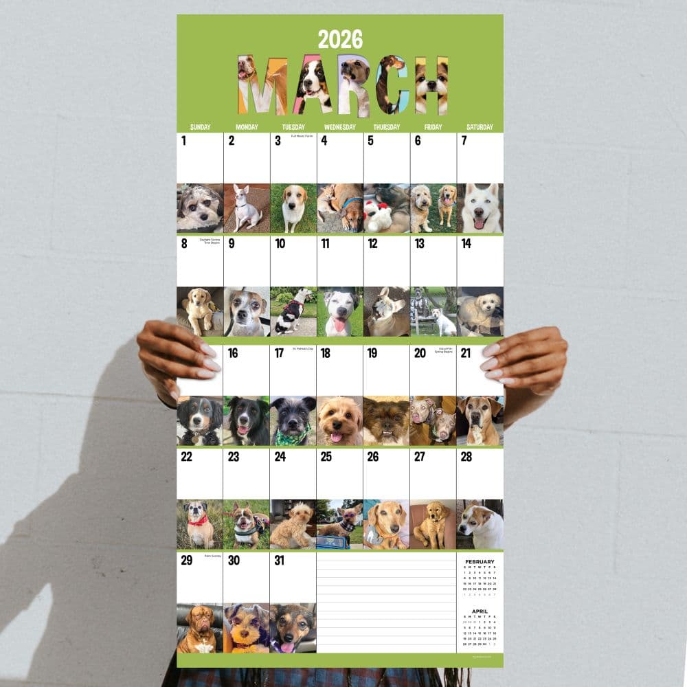 Dog A Day 2026 Wall Calendar Fourth Alternate Image