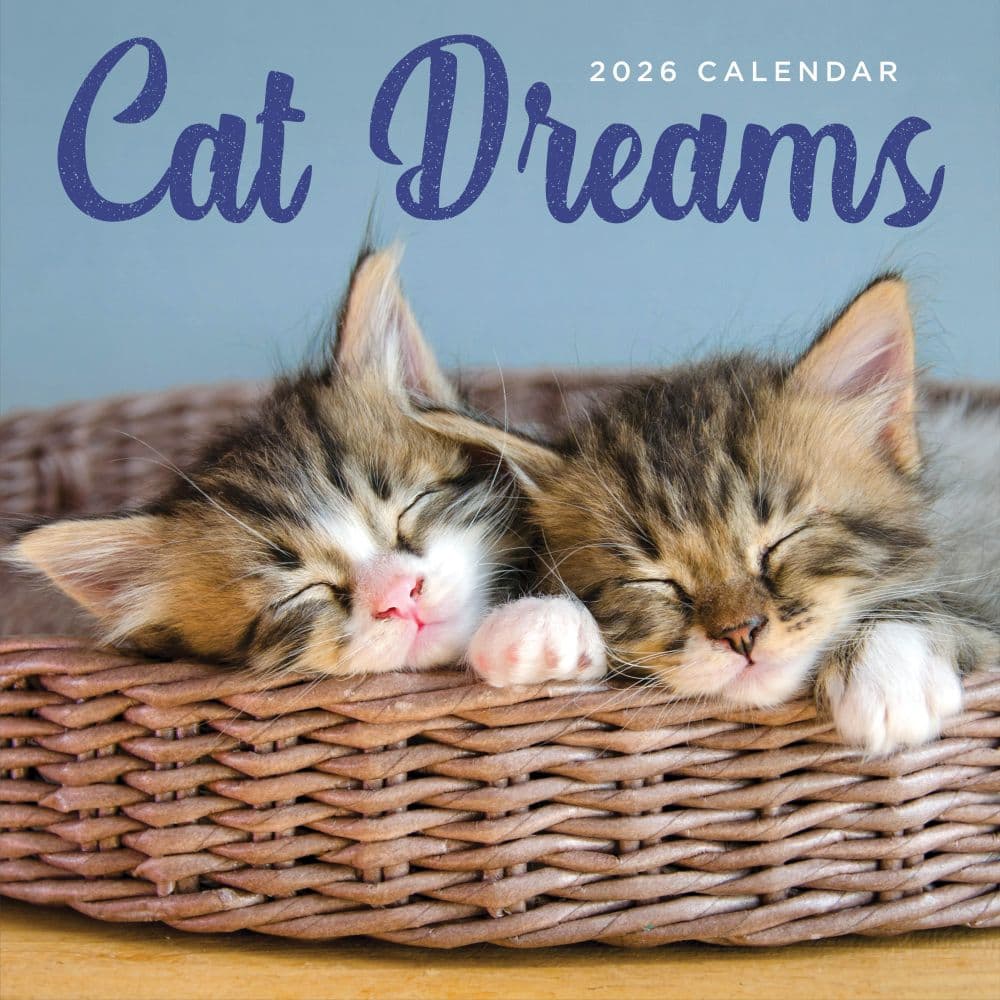 Cat Dreams 2026 Wall Calendar Main Product Image