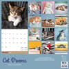 image Cat Dreams 2026 Wall Calendar First Alternate Image