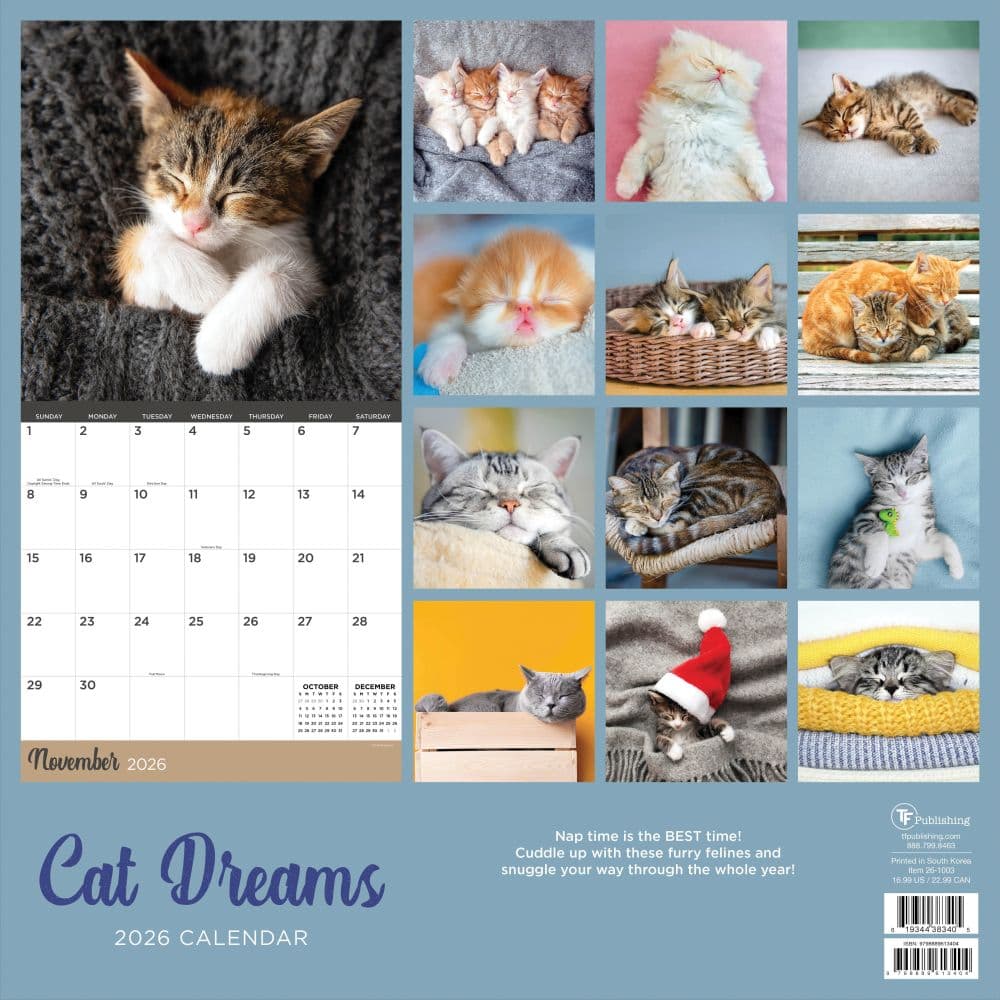 Cat Dreams 2026 Wall Calendar First Alternate Image
