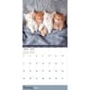 image Cat Dreams 2026 Wall Calendar Second Alternate Image