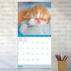 image Cat Dreams 2026 Wall Calendar Third Alternate Image