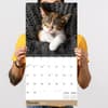 image Cat Dreams 2026 Wall Calendar Fourth Alternate Image
