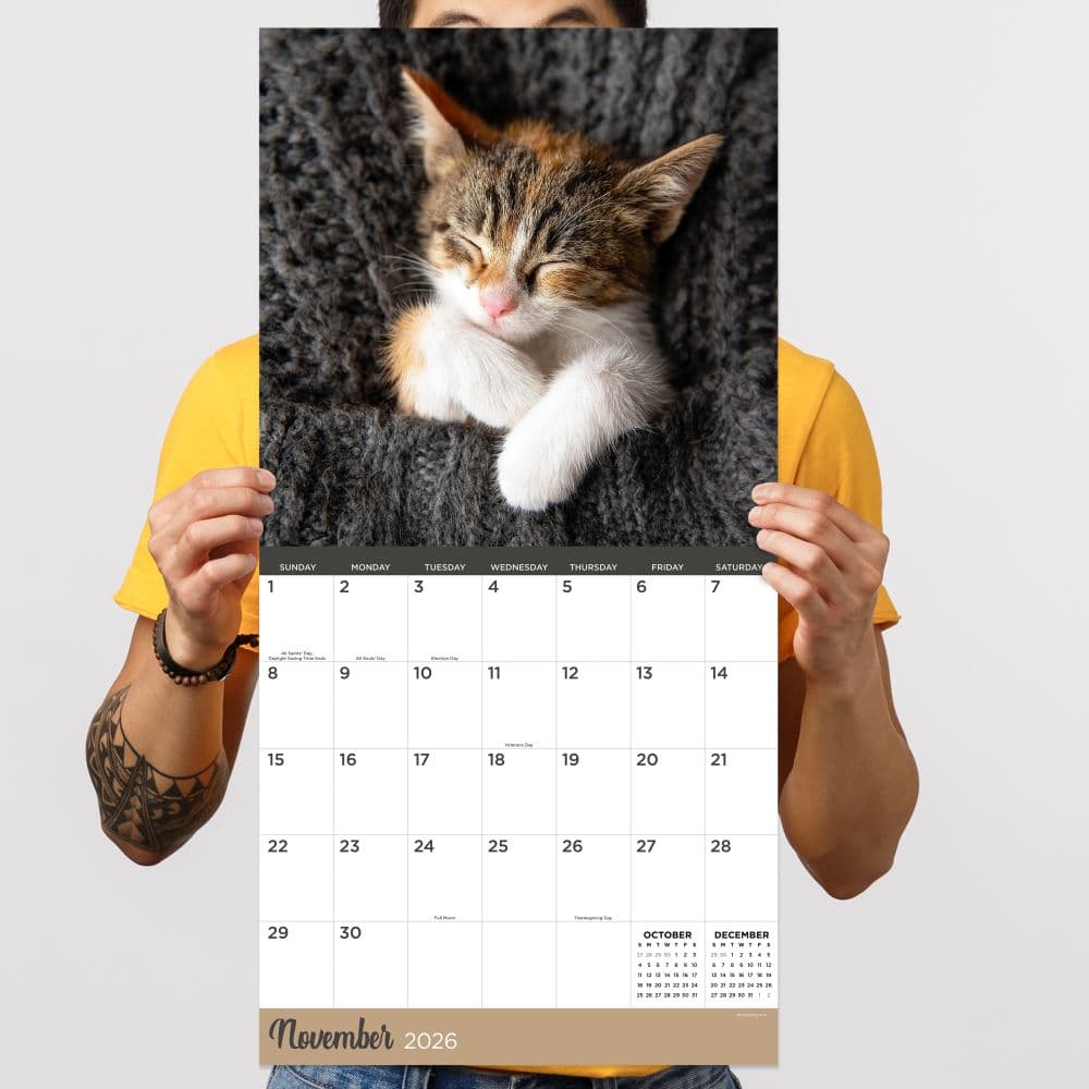 Cat Dreams 2026 Wall Calendar Fourth Alternate Image