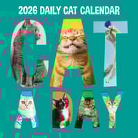 image Cat A Day 2026 Wall Calendar Main Product Image