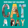 image Cat A Day 2026 Wall Calendar Main Product Image