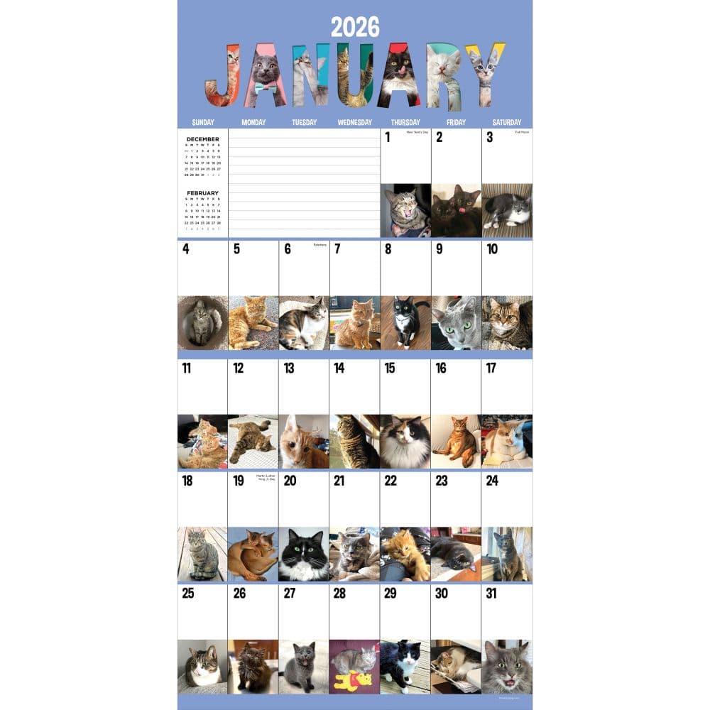 Cat A Day 2026 Wall Calendar Second Alternate Image