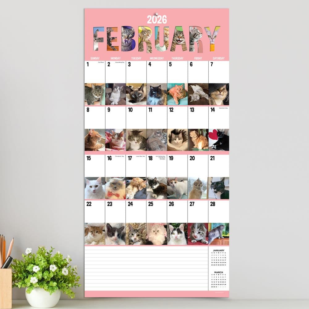 Cat A Day 2026 Wall Calendar Third Alternate Image