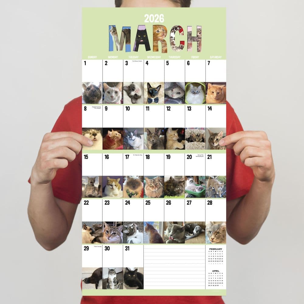 Cat A Day 2026 Wall Calendar Fourth Alternate Image