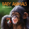 image Baby Animals 2026 Wall Calendar Main Product Image