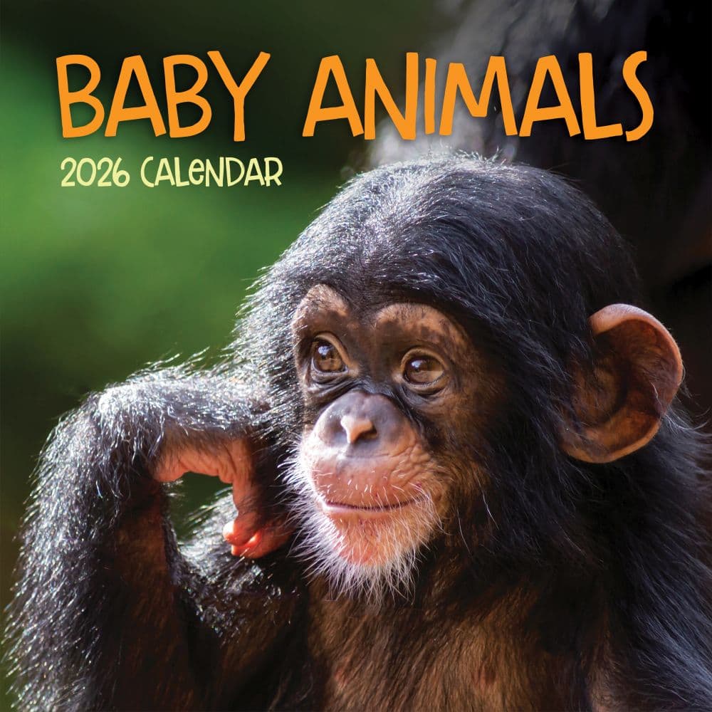 Baby Animals 2026 Wall Calendar Main Product Image