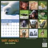 image Baby Animals 2026 Wall Calendar First Alternate Image