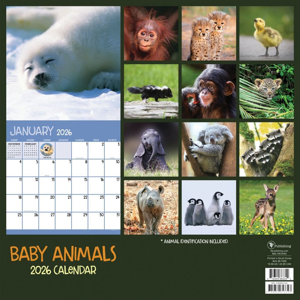 Baby Animals 2026 Wall Calendar First Alternate Image