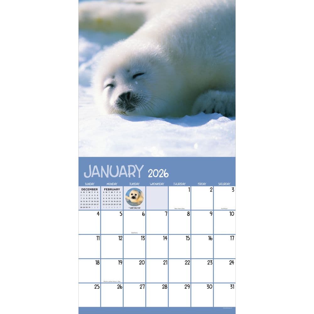 Baby Animals 2026 Wall Calendar Second Alternate Image