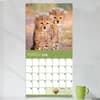image Baby Animals 2026 Wall Calendar Third Alternate Image