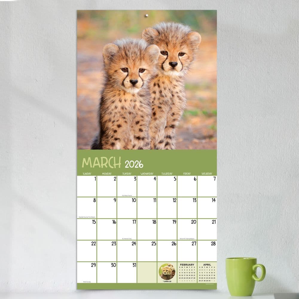 Baby Animals 2026 Wall Calendar Third Alternate Image