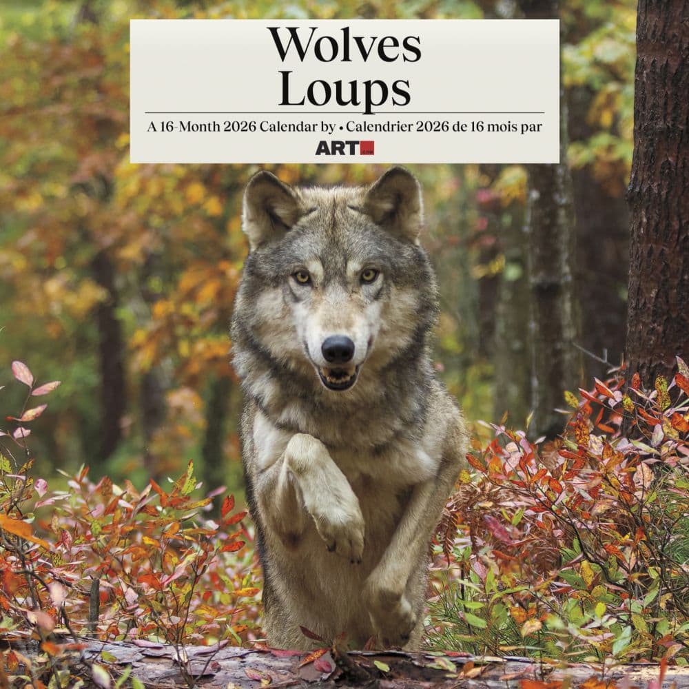thumbnail image 2 of Wolves 2026 Wall Calendar – Full Size 12x24 – Made In USA – MegaCalendars 13301 2 of 5