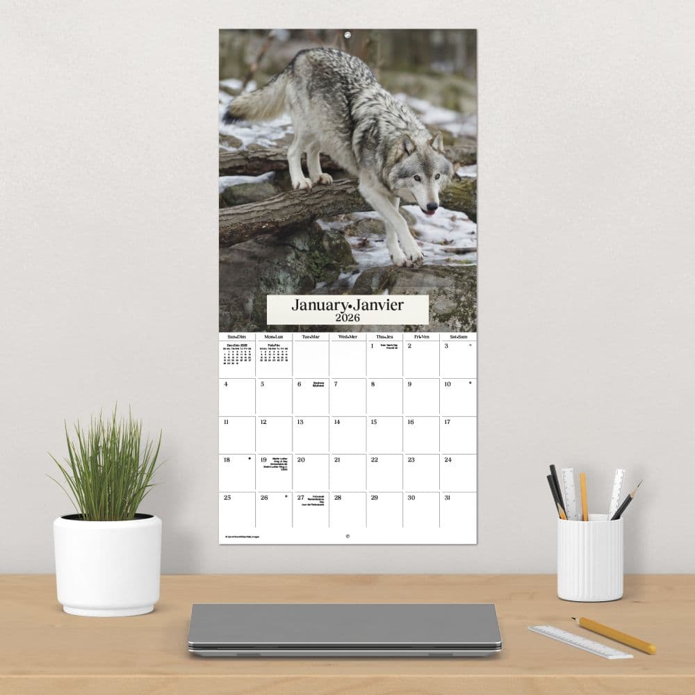 Wolves Bilingual 2026 Wall Calendar Fourth Alternate Image