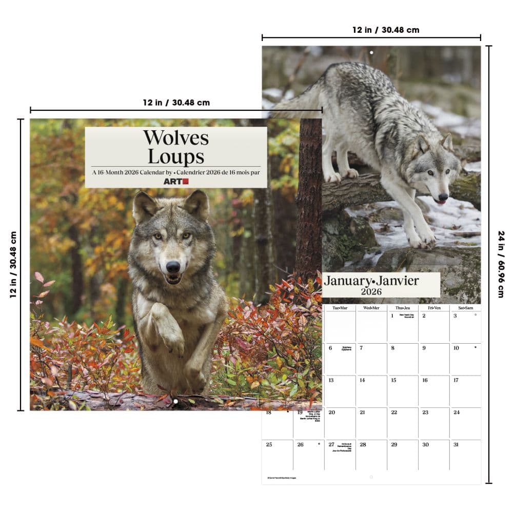 Wolves Bilingual 2026 Wall Calendar Sixth Alternate Image
