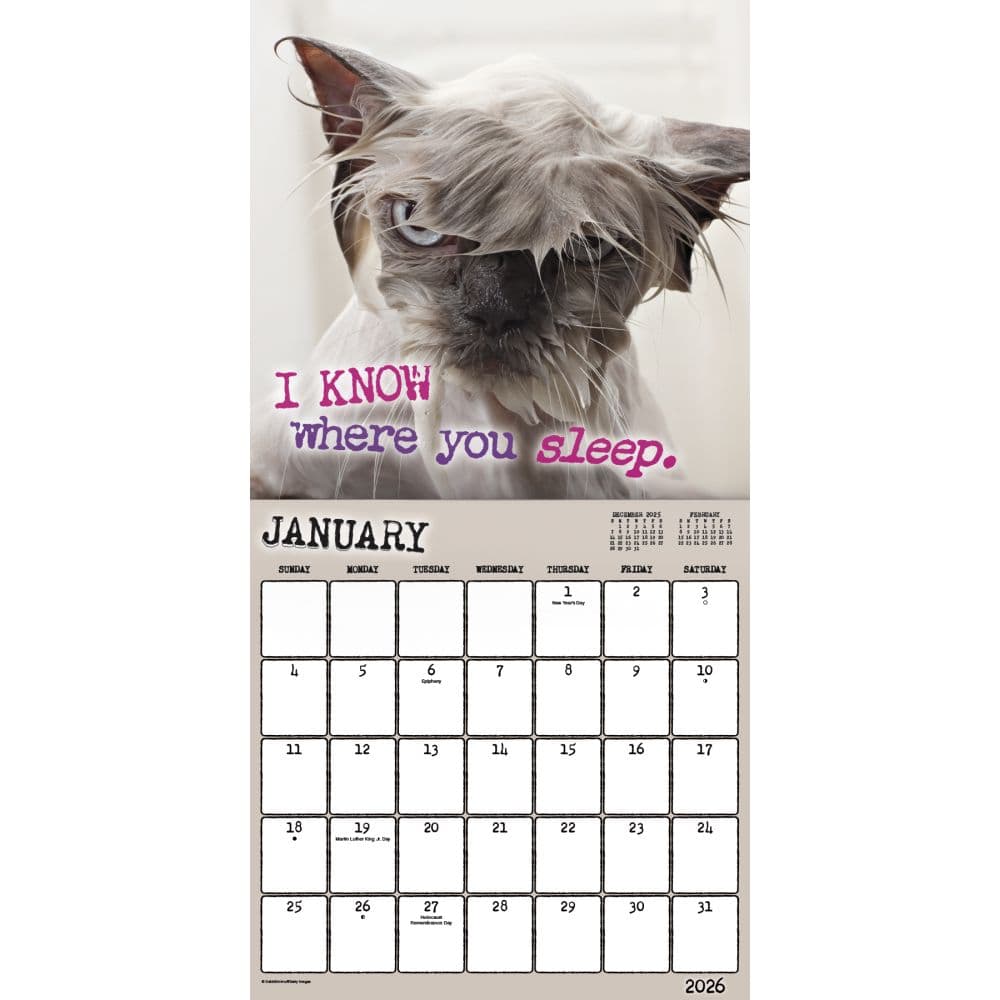 Snarcastic 2026 Wall Calendar Second Alternate Image