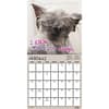image Snarcastic 2026 Wall Calendar Second Alternate Image