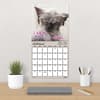 image Snarcastic 2026 Wall Calendar Fourth Alternate Image