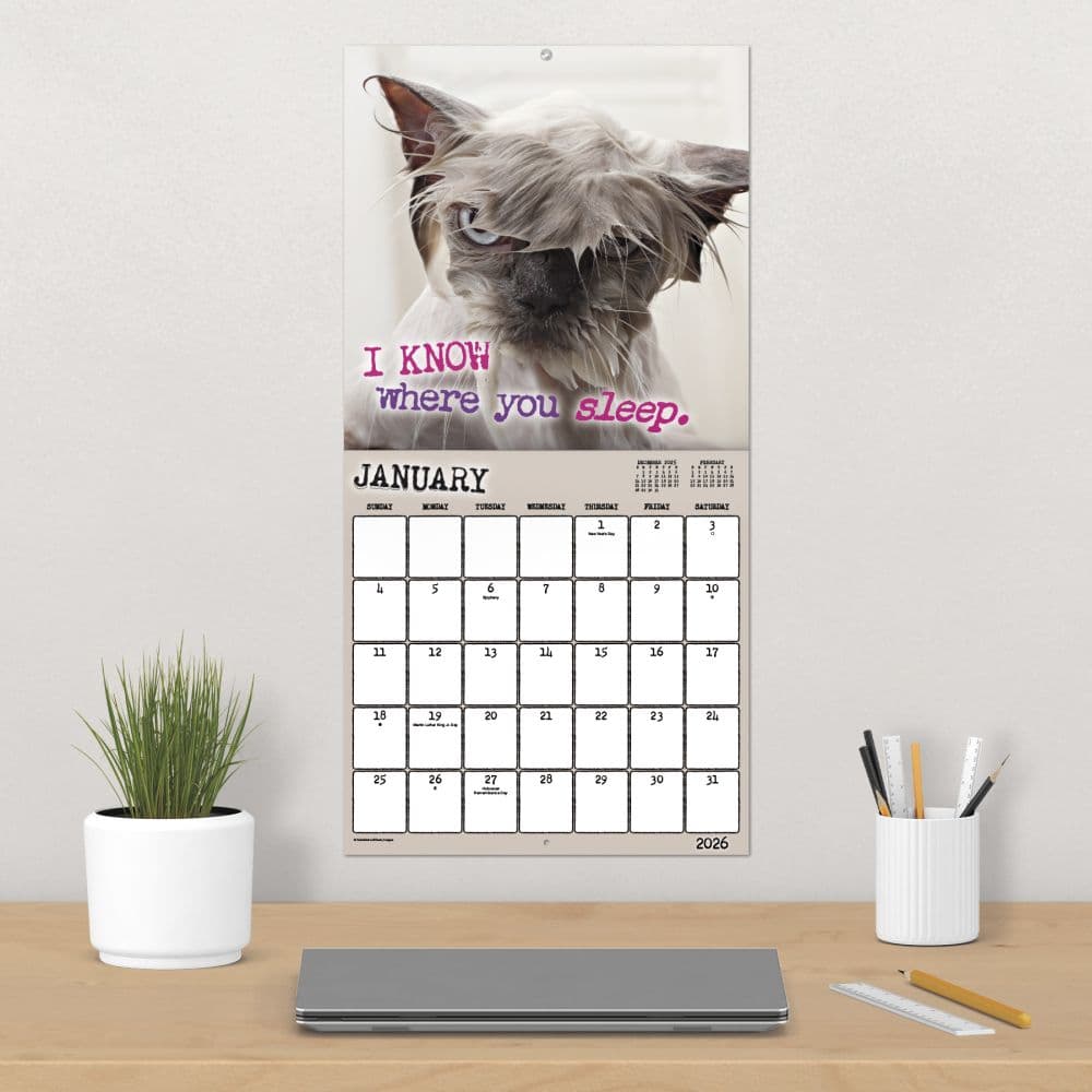 Snarcastic 2026 Wall Calendar Fourth Alternate Image
