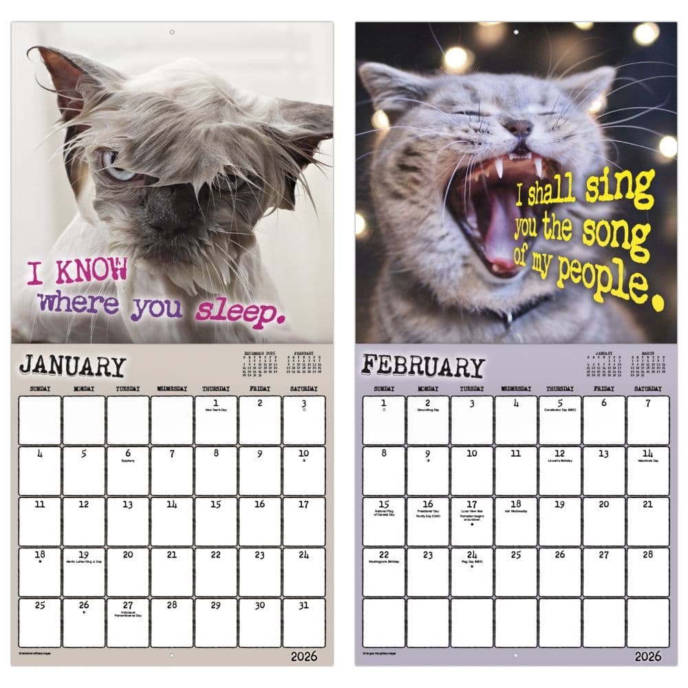 Snarcastic 2026 Wall Calendar Fifth Alternate Image