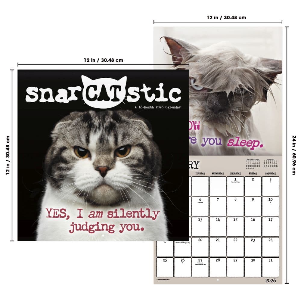 Snarcastic 2026 Wall Calendar Sixth Alternate Image