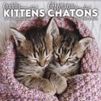 image Kittens Bilingual French 2026 Wall Calendar Main Product Image