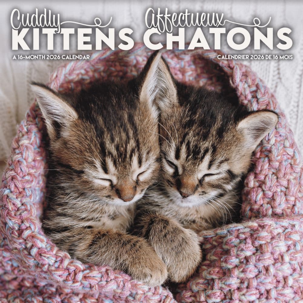 Kittens Bilingual French 2026 Wall Calendar Main Product Image