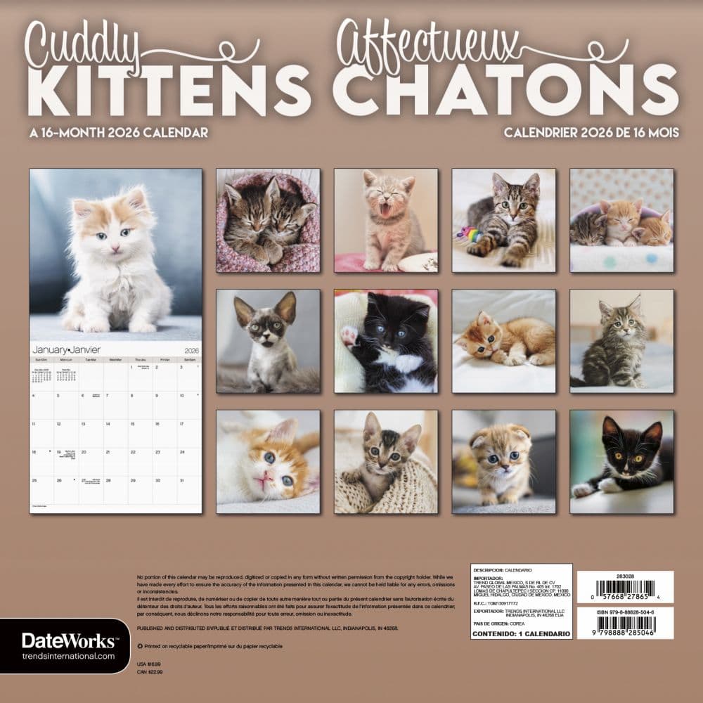 Kittens Bilingual French 2026 Wall Calendar First Alternate Image