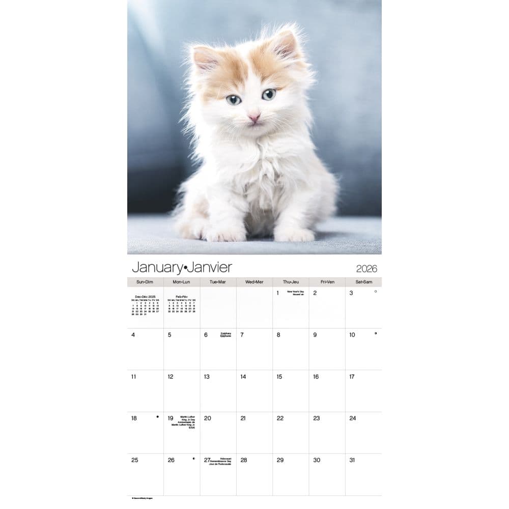 Kittens Bilingual French 2026 Wall Calendar Second Alternate Image