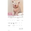 image Kittens Bilingual French 2026 Wall Calendar Third Alternate Image