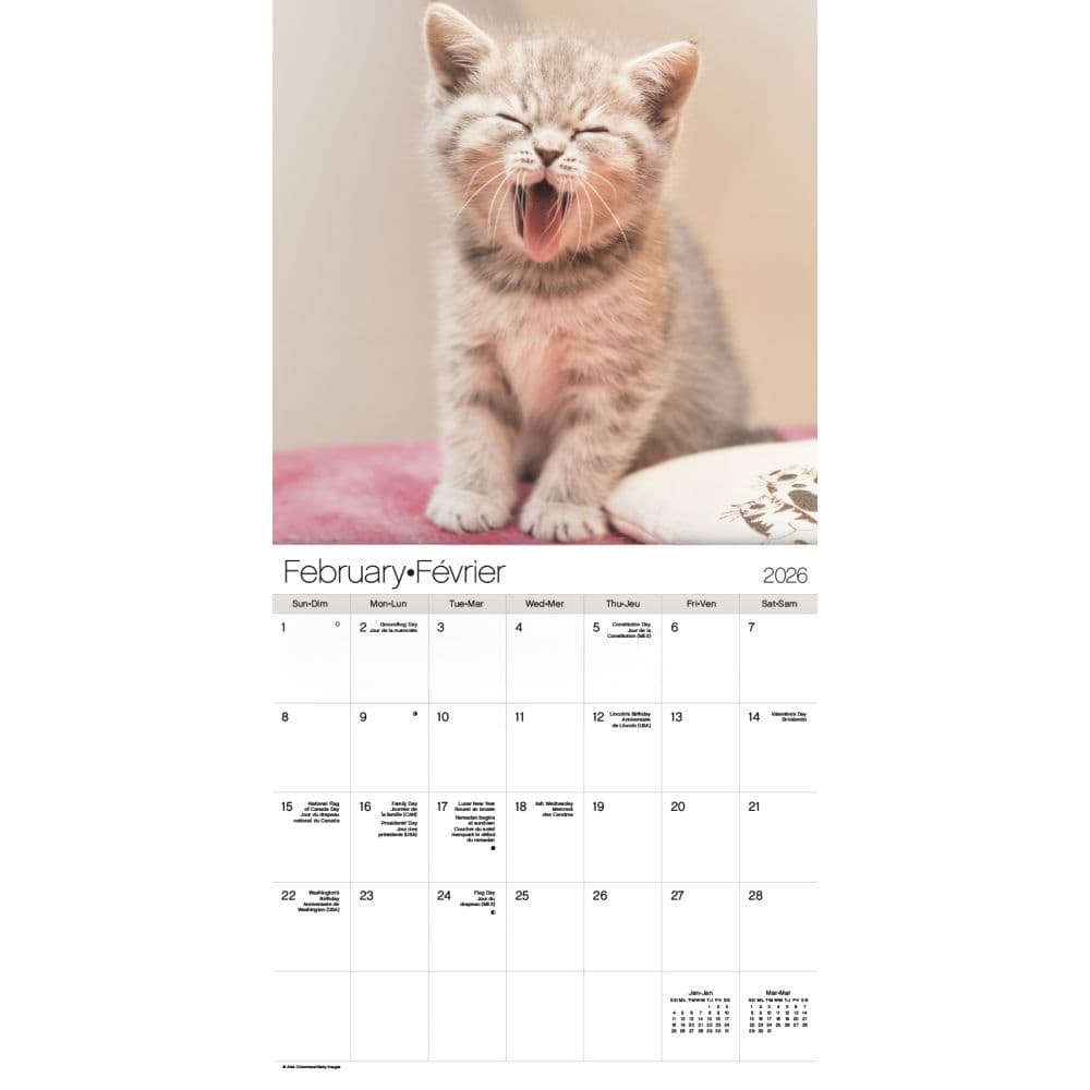Kittens Bilingual French 2026 Wall Calendar Third Alternate Image