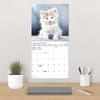 image Kittens Bilingual French 2026 Wall Calendar Fourth Alternate Image